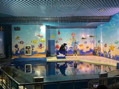 -太平洋海底世界