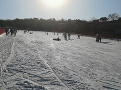 -蓟洲国际滑雪场
