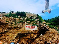 -海驴岛(荣成市)