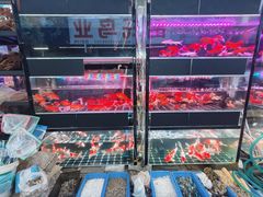 -武汉花鸟市场