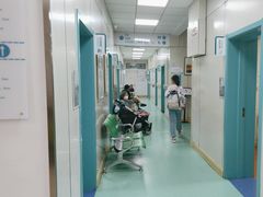 -北京观赏动物医院·24小时大型综合·猫专科·异宠专科