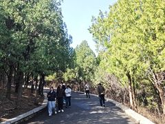 -千佛山风景名胜区