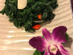 -紫滇源云南生态菜(丹凤街店)
