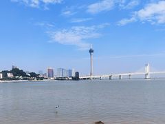 -芒洲湿地公园