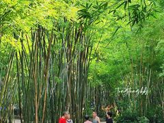 -晓港公园