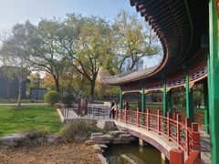 -西海子公园