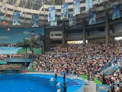 -海合安成都极地海洋公园