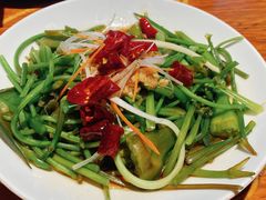 -菌自由丨野生菌火锅特色庭院餐厅(丽江古城店)