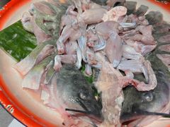 -吃城都·鱼蛙火锅(西玉龙街店)
