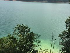 -广州市流溪河国家森林公园