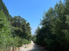 -北京西山国家森林公园