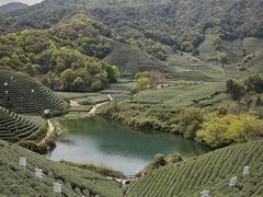 -龙坞茶村