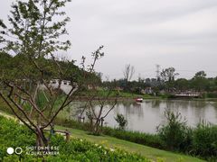 -昆山城市生态森林公园