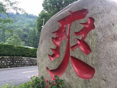 -虹口漂流