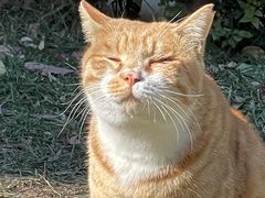 -萌兽医馆·犬猫专科·眼科中心·宠物医院(朝阳门分院)