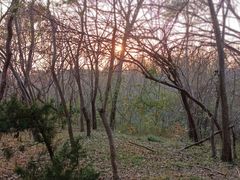 -大蜀山国家森林公园