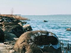 -苏州东太湖生态园