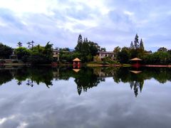 -抚仙湖万达文华酒店