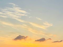 -武昌江滩