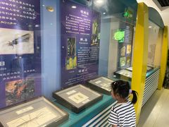 -上海昆虫博物馆