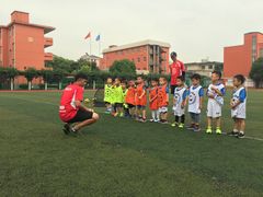 -小赛虎少儿足球培训(南翔校区)