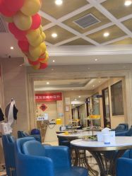 -碧莲盛·不剃发植发