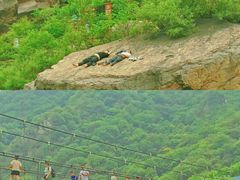 -河南宝泉旅游区