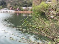 -黑龙潭公园