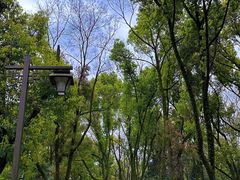 -柯岩风景区