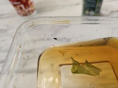 -瑞霖·隆江猪脚饭