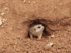 -杭州野生动物世界