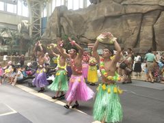 -杭州开元森泊度假乐园