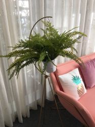 -汐月Health纤体spa中心