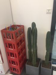 -六月嫁期婚礼(旗舰店)