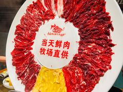 -手选潮汕鲜牛肉火锅(二七广场店)