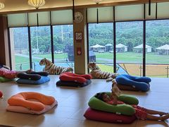 -重庆南山海昌汤都