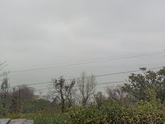 -湖山人家·湖景餐厅·特色农家菜(太湖西山店)