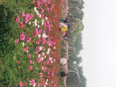 -尚贤河湿地