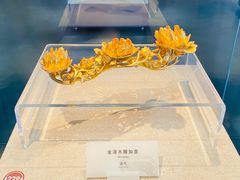 -广东省博物馆