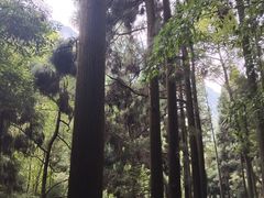 -青城山
