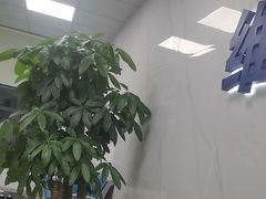 -戴尔笔记本电脑服务器售后维修中心(虹口足球场店)