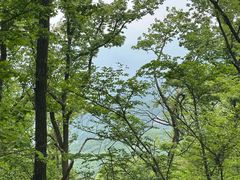 -内乡宝天曼生态旅游区