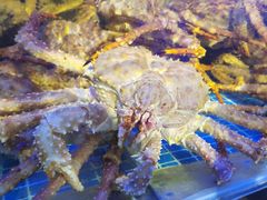 -驻海渔市(置信店)