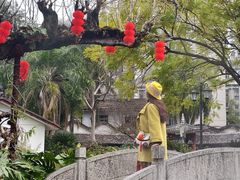-柳侯公园