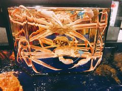 -蟹道乐(道顿堀本店)