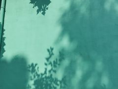 -石井坡(地铁站)