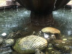 -龙达温泉生态城