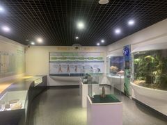 -中国第四纪冰川遗迹陈列馆