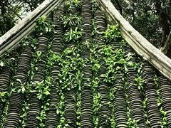 -狼山风景名胜区