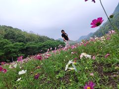 -广州市石门国家森林公园
